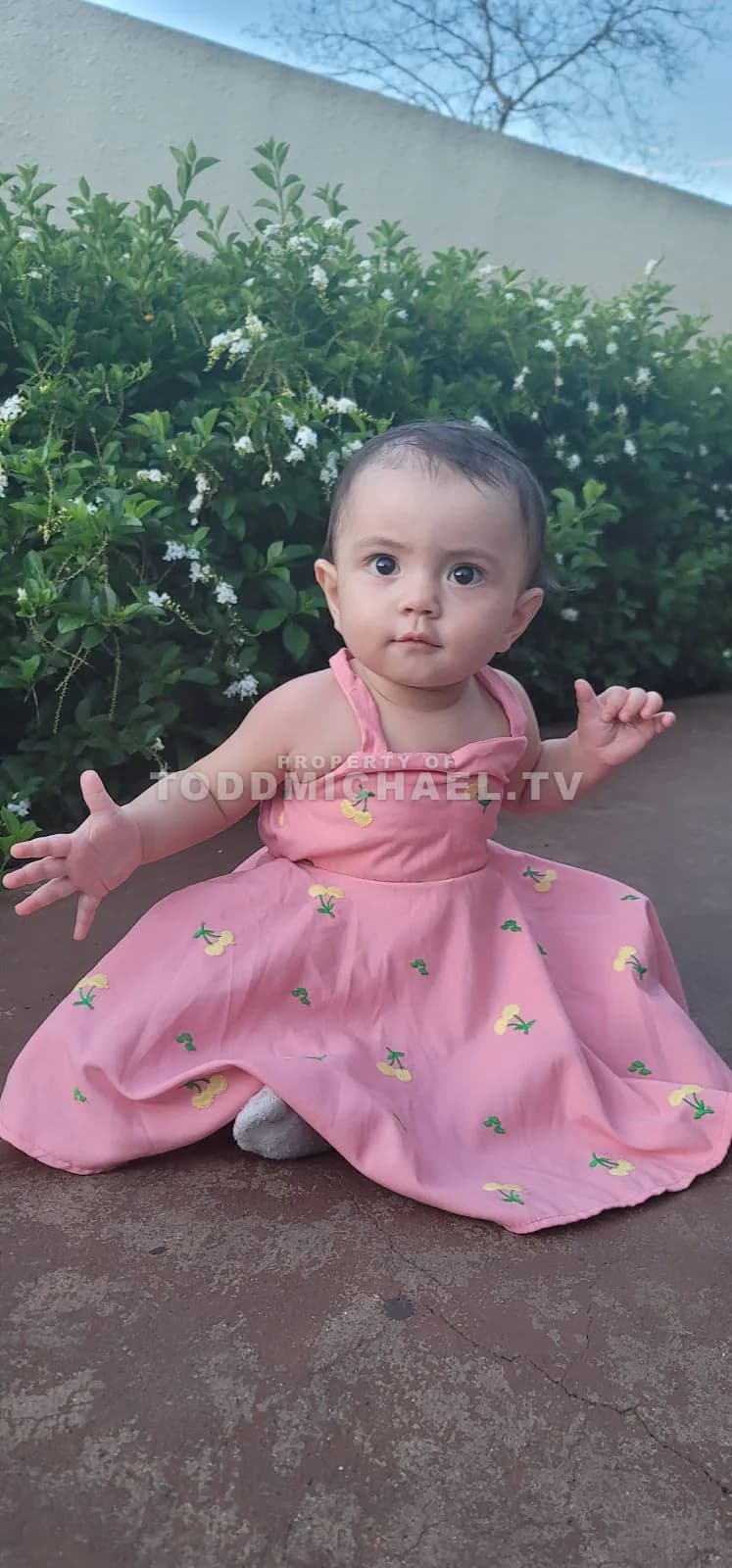 a young child in a pink dress sitting on the ground with greenery and a wall behind them.