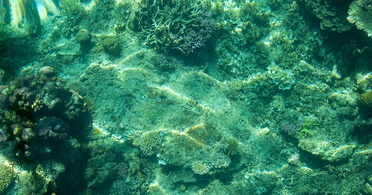 Underwater coral. Coral in shallow sea water. Part of minor tectonic Sunda Plate. Islands, islets, karst formations, limestone towers, remote lagoons, irregular coastlines, coral, crystal clear water, pure tropical bliss. El Nido Bay, Palaw