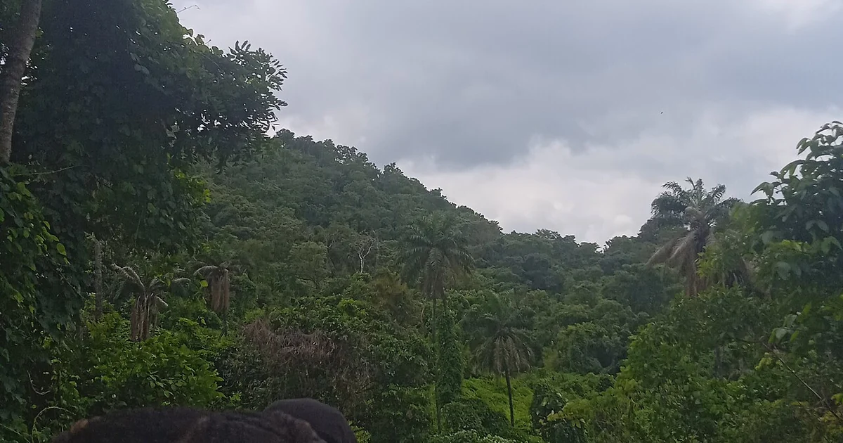 Adventuring through the lush tropical landscape
