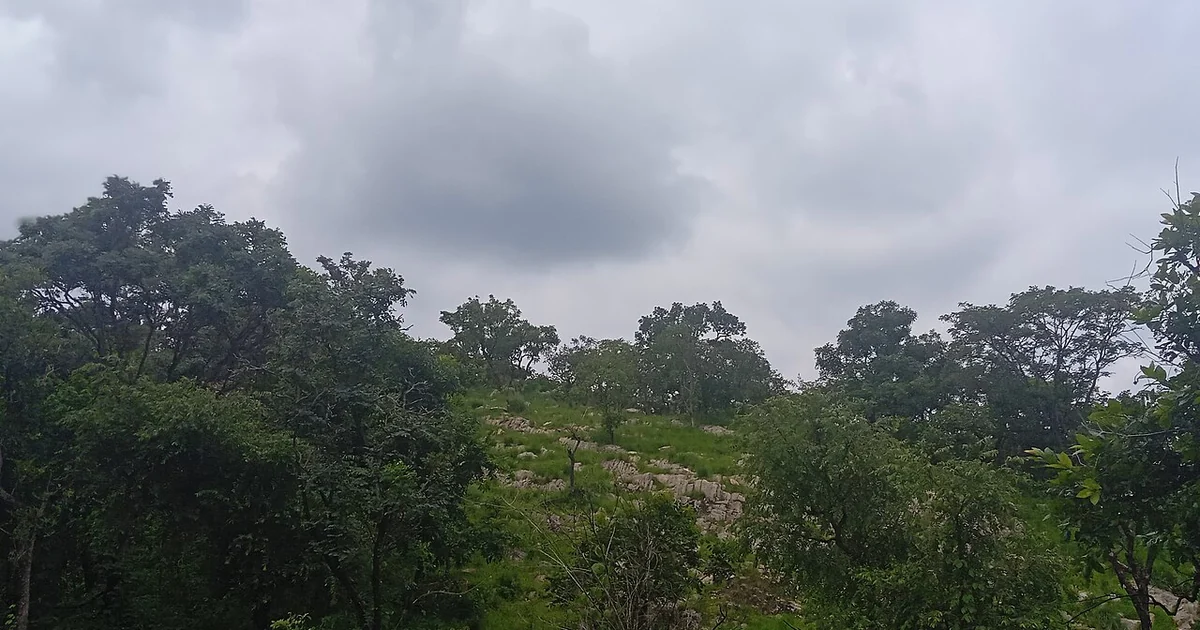 Lush tropical landscape awaiting the oówu waterfalls ahead