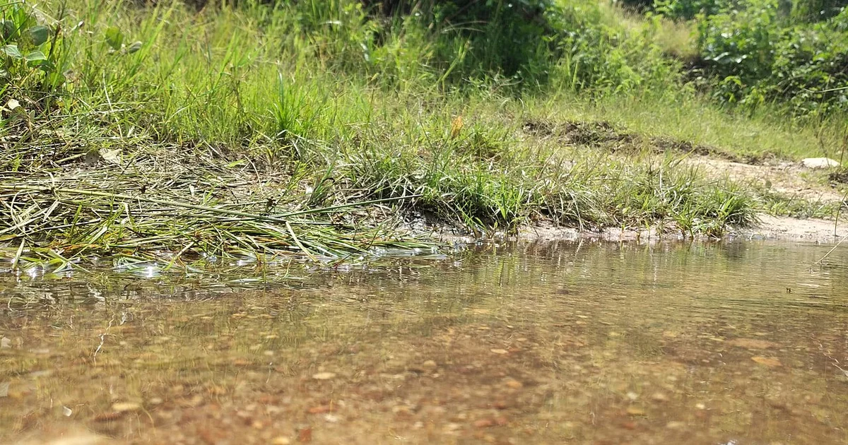 Trekking Through the Lush, Tropical Landscape