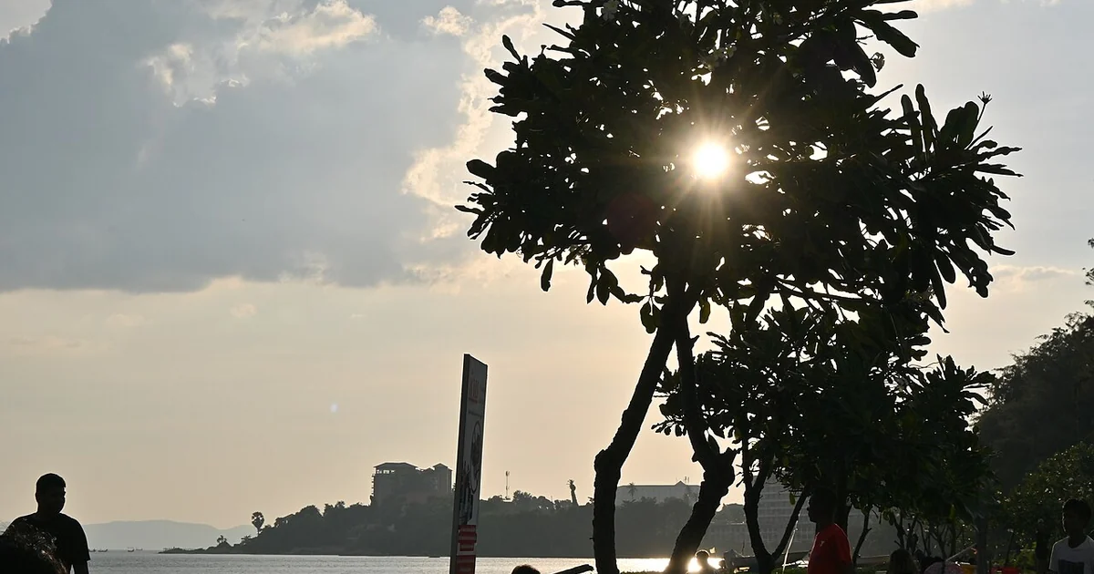 This photo captures a beautiful coastal scene at what appears to be sunset or late afternoon. The sun is peeking through the leaves of a tropical tree, creating a stunning backlit effect. In the foreground, there's a shoreline or beach area