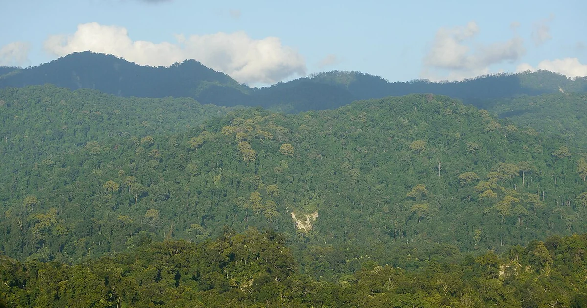Photo taken at Pakke Tiger Reserve, Arunachal Pradesh, India