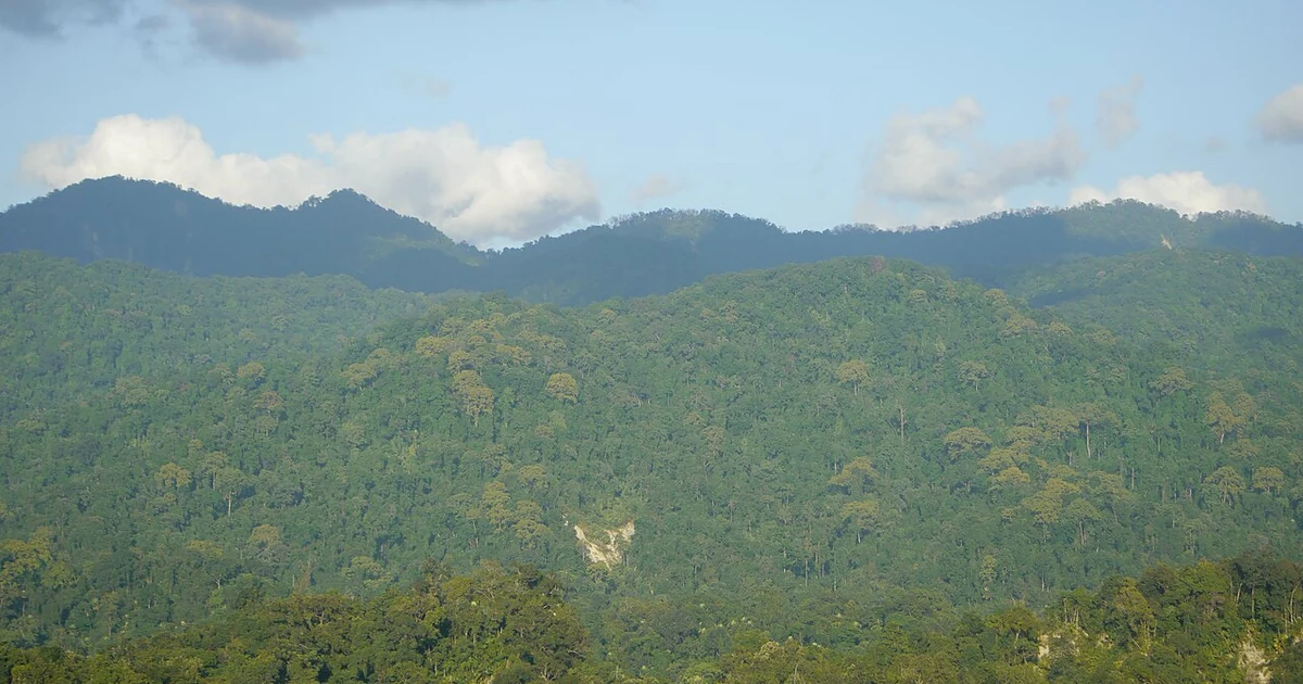 Photo taken at Pakke Tiger Reserve, Arunachal Pradesh, India