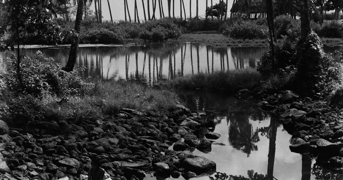 There are several pools of water surrounded by rocks and palm trees. In the distance is an open sided bure. A boy sits beside the pool in the foreground and appears to be washing things.